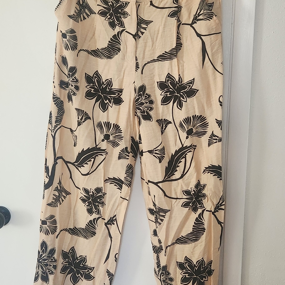 Alice Blue Beige and Black Floral Women's Pants